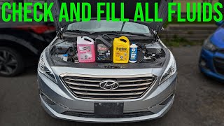 How to Check and Fill Fluids [COMPLETE GUIDE] - Hyundai Sonata (2015-2017)