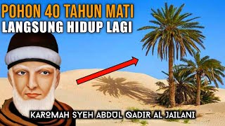 Menghidupkan Pohon Kurma yang 40 Tahun Sudah Mati, Karomah Syeh Abdul Qadir