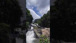 #nature #waterfalls #kottayam #aruvikuzhi