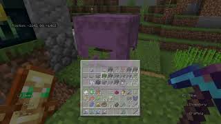 Minecraft_20240417204653