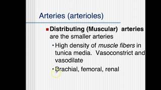 Bio4_Mod12_Ch 21_Vessels part 2