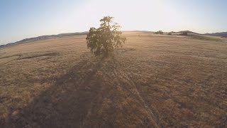 Copperopolis, CA - Sierra Foothills at Sunset