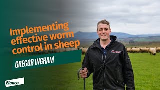 Implementing effective worm control in sheep