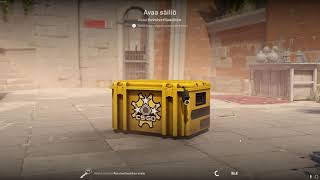 DAY 323 OPENING CS2 CASES UNTIL I GET GOLD!