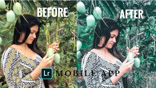 prime green presets | Mobile එකෙන් ලේසියෙන්ම edit කරමු | Lightroom mobile app | (SILVER GREEN TONE)