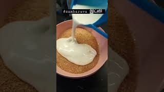 Healthy Breakfast  recipe  samba Rava idli#shorts sh#trending shorts #food