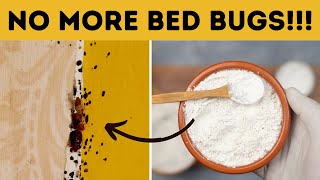 Permanently Get Rid of Bed Bugs at Home on a Tight Budget DIY Baking Soda Treatment without an Exter