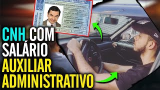 AUXILIAR ADMINISTRATIVO: A PROFISSÃO PERFEITA PARA O PRIMEIRO EMPREGO!!!