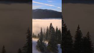 Понад хмарами 🇺🇦⛰️🌧️. #nature #travel #mountain #carpathian #гори #карпати #bukovel