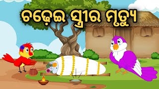 Chadhei Streera Mrutyu | Tiki Chadhei Gapa | Odia gapa | Moral Story | Bird Story | cartoon story ।