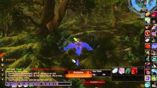 Dual-boxing Hunters - Rare Pet Diary #9 (Nov 4, 2011)