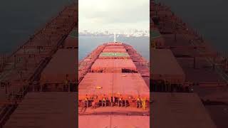 Bulk carrier vessel • port • pilot