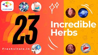 23 INCREDIBLE HERBS THAT ARE HELPFUL IN NERVE DAMAGE, STOMACH ISSUES, HEART DISEASE, DIABETES, ETC.