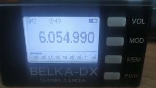 Radio OZ-Viola (Denmark), 6055,   2024.10.27,  13.36 UTC