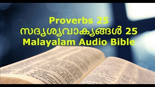 Proverbs 25 - Malayalam Audio Bible (സദൃശ്യവാക്യങ്ങൾ)