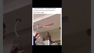 Cat Changes Light Bulb!!       😂😹🐈#trending #cats #shorts