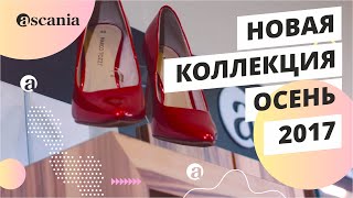 Ascania. Новая коллекция ОСЕНЬ 2017