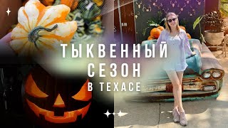 Осенние развлечения в Техасе | Выставка тыкв | Подготовка к Хеллоуину и Дню Благодарения