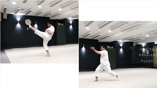 Karate - Knife Hand Strike - Jab - Front Kick - Reverse Punch and more