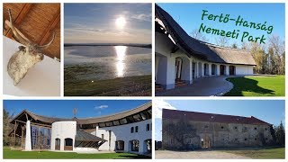 S1E1 Fertő-hanság Nemzeti Park