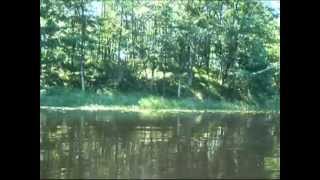 birchwood2011.wmv