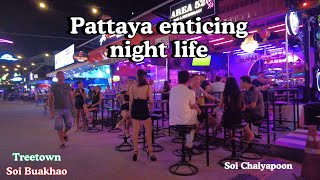 Pattaya fascinating and luminous walk in Soi buakhao, Treetown, chaiyapoon & beach road 2024