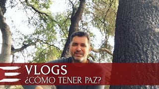 VLOGS | ¿Cómo tener paz?