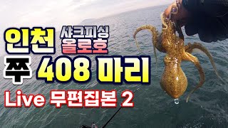 인천 쭈꾸미 408 마리 실시간 무편집본 2