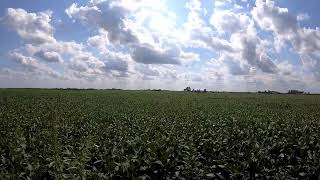 Late Summer Clouds - © Kip Ladage