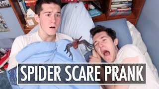 SPIDER SCARE PRANK ON TWINS