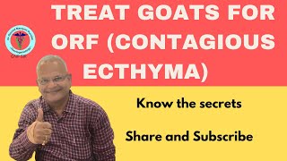 Orf Outbreak: Understanding Contagious Ecthyma in Goats I GNP Sir