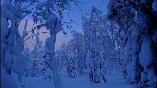 Природа . Северный Урал .  Зимняя сказка !!!