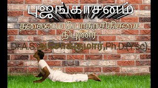 புஜங்காசனம்- BHUJANGASANA /வயிற்றில் உள்ள உறுப்புகளுக்கு ஆரோக்கியம் தரும் புஜங்காசனம்.