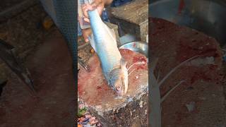 Amazing Rawas Fish Cutting Skills In Bangladesh Fish Market #shorts