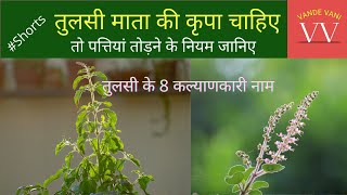 Tulsi Puja | तुलसी के पत्ते कैसे तोड़ें, कब न तोड़ें #Shorts | Tulsi Plant Care | Vande Vani