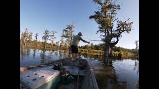 Bass killing a rattle trap right at the boat!! Catching Bass on a River!! WHERE THE BITE IS TOUGH!!