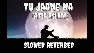 Tu Jaane Na (Slowed + Reverbed)  | Atif Aslam | Ranbir Kapoor, Katrina Kaif | Lofi Mix