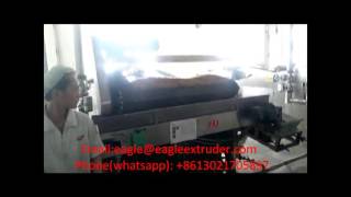 Jinan Eagle 2D snack pellet prawn sitck cutter machine