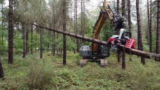 Sany Excavator With Nisula 755X Harvesting Head