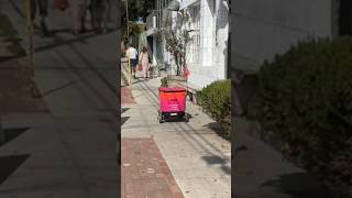 Food delivery robot spotted in Venice 😁 #traffic #ebike