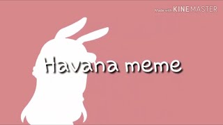 havana meme