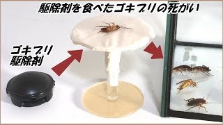 蟻戦争Ⅲ＃129 「ゴキブリ駆除剤」を食べたゴキブリの死がいをゴキブリの群れの中に入れたらもっと凄まじい結果になった。 編～Items to exterminate cockroachesⅡ