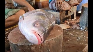 Big Rohu Fish Cutting Skills In Bangladesh! Watch And Learn How To Cut A Rohu Fish Like A Pro!