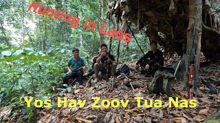 Hunting In Laos/Yos hav zoo tua nas lom zem nyob los tsuas teb