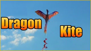 Dragon kite