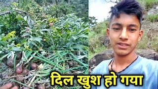 एक साथ बहुत सारी खुशियां मिल गई || Pahadi lifestyle vlog|| Anuj Khoyal