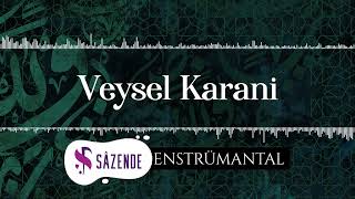 Veysel Karani | Enstrümantal Fon Müziği | Turkish Instrumental Music