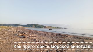 Как приготовить морской виноград. Переезд на Сахалин, местная еда