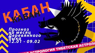 Прогноз на месяц деревянного быка 12.01 - 09.02 для Кабанов