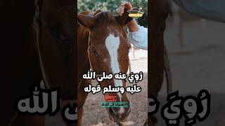 الخيل والخير #حديث #حديث_شريف #shorts  @albassita